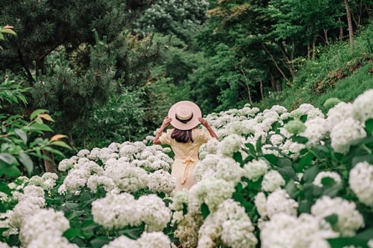 yeskids 1777328999 391 예스키즈존 탐험대 : 실패 없는 육아여행