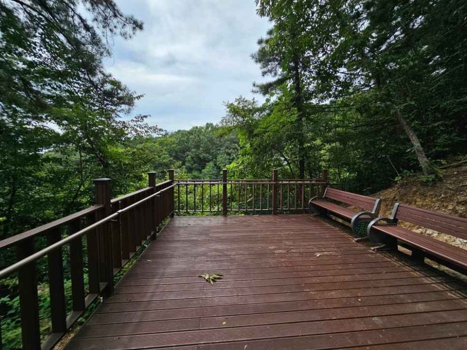 yeskids 1777329133 601 예스키즈존 탐험대 : 실패 없는 육아여행