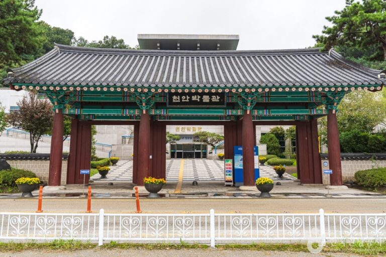 [예스키즈존] 천안박물관
