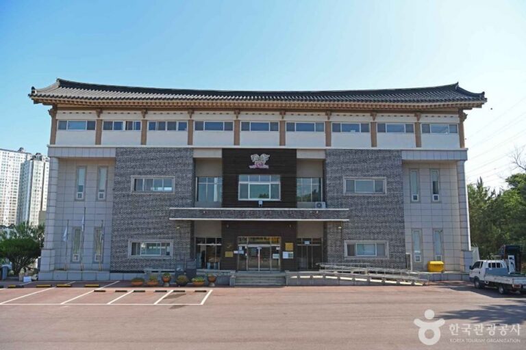 [예스키즈존] 기지시 줄다리기 보존회