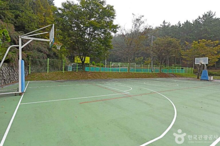 [예스키즈존] 충청남도교육청안전수련원