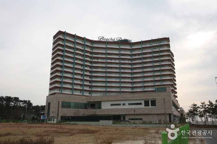 [예스키즈존] 무창포 비체팰리스