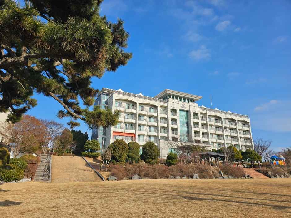yeskids 1777416629 899 예스키즈존 탐험대 : 실패 없는 육아여행