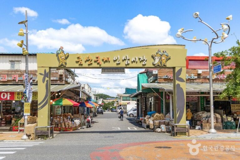 [예스키즈존] 금산국제인삼시장