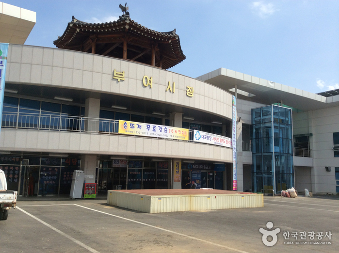 [예스키즈존] 부여장 (5, 10일)