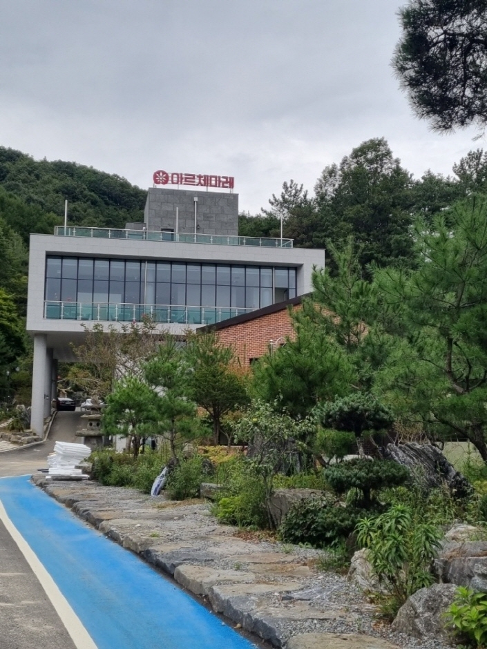 [예스키즈존] 아르체마레