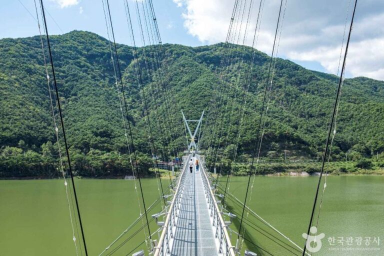[예스키즈존] 보현산댐 출렁다리