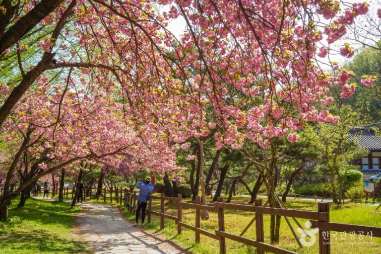 [예스키즈존] 금오산도립공원