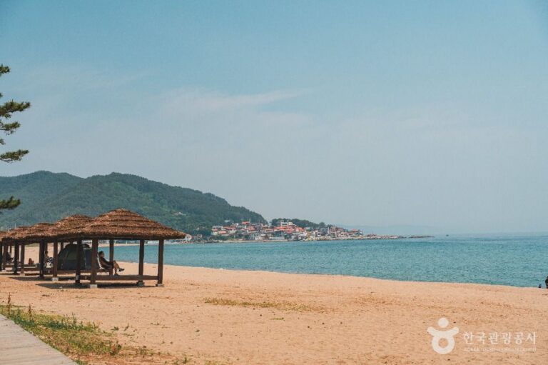 [예스키즈존] 장사해수욕장