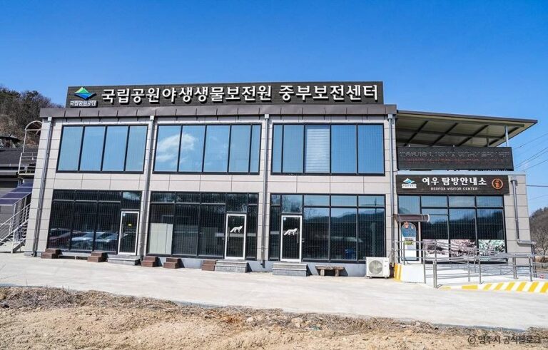[예스키즈존] 여우생태관찰원