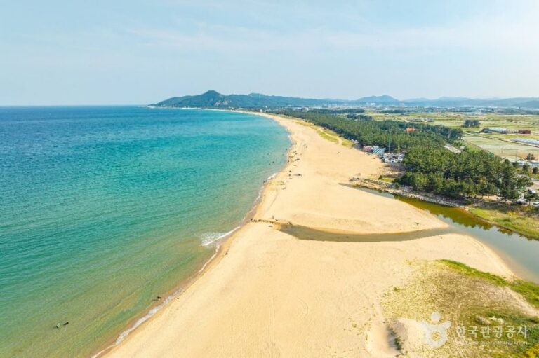 [예스키즈존] 고래불해수욕장