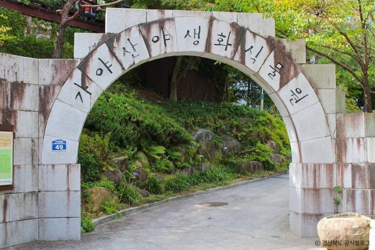 [예스키즈존] 가야산 야생화식물원