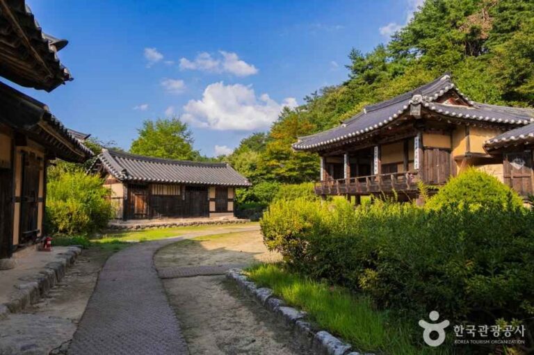 [예스키즈존] 선비촌