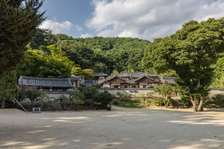 [예스키즈존] 도산서원 [유네스코 세계유산]