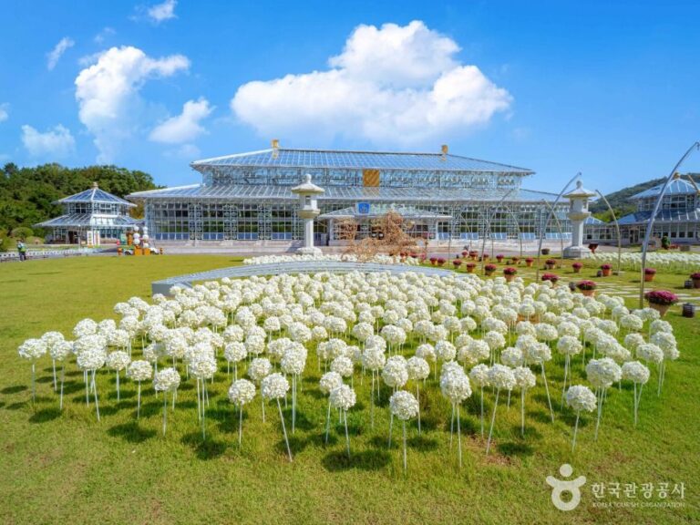 [예스키즈존] 경주 보문관광단지