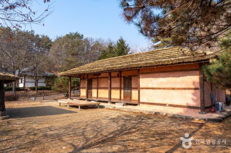 [예스키즈존] 안동호반자연휴양림