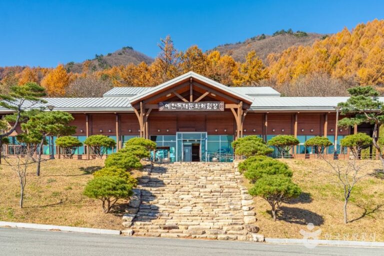 [예스키즈존] 예천목재문화체험장
