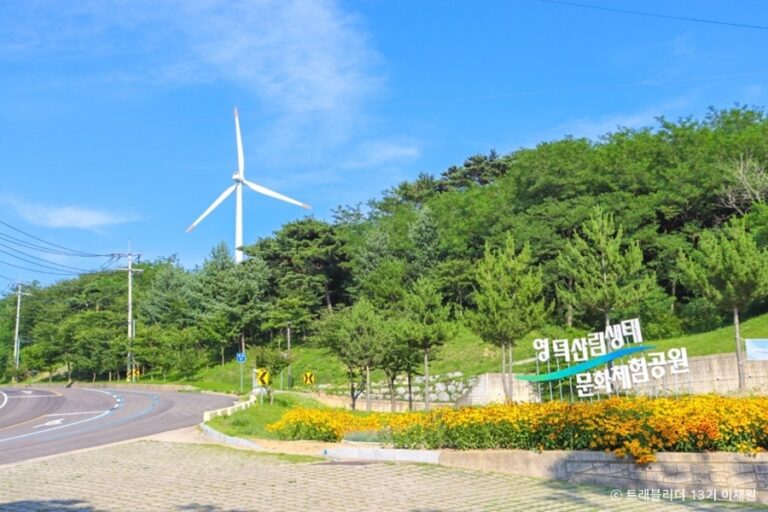 [예스키즈존] 별파랑공원
