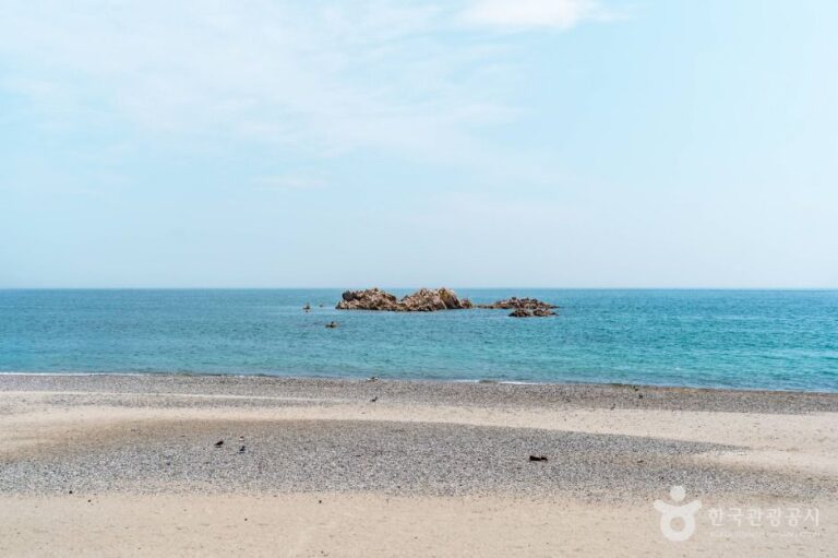 [예스키즈존] 봉길대왕암해변