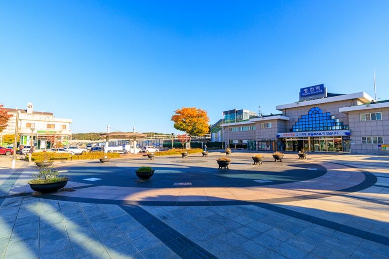 [예스키즈존] 영천역 광장