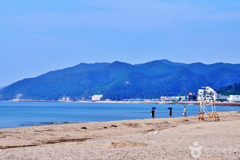 [예스키즈존] 후포해수욕장