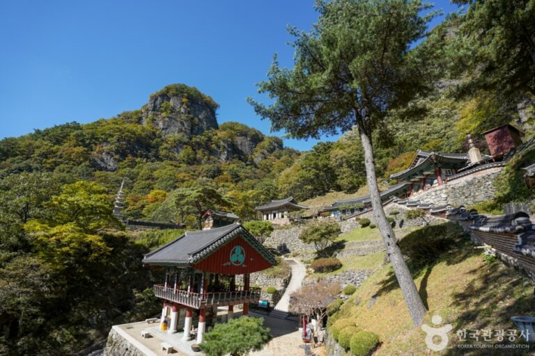 [예스키즈존] 청량산도립공원