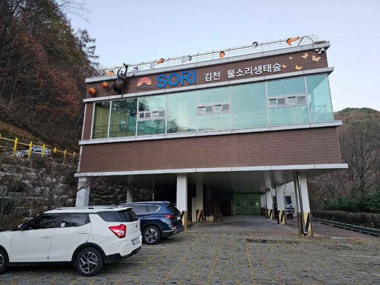 [예스키즈존] 김천물소리생태숲
