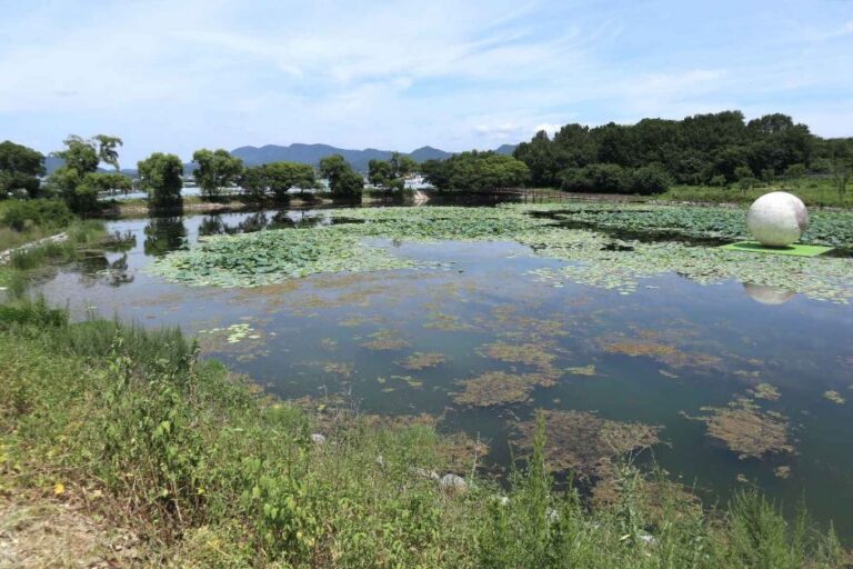 [예스키즈존] 자라지