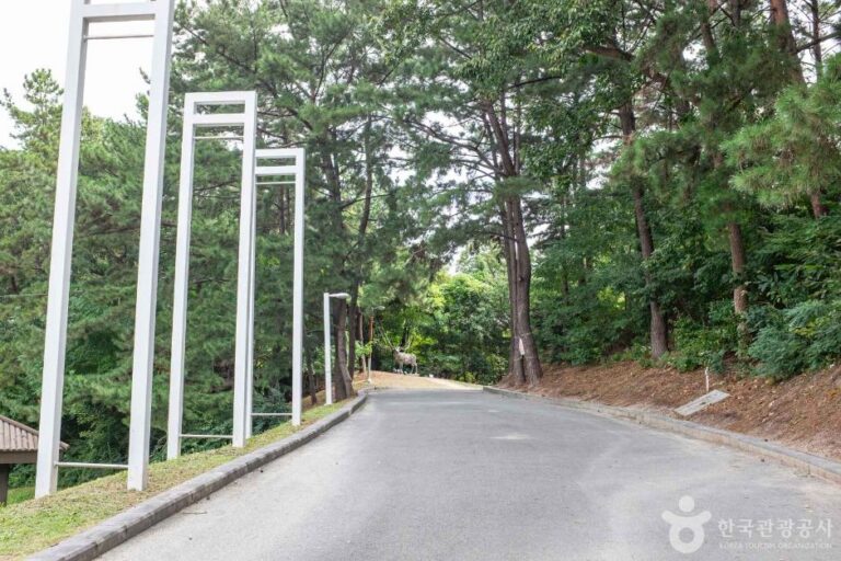 [예스키즈존] 포항시립미술관