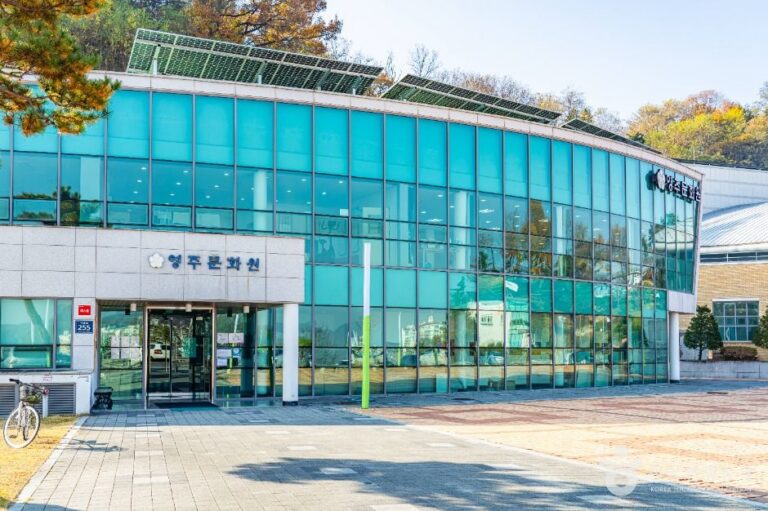 [예스키즈존] 영주문화원