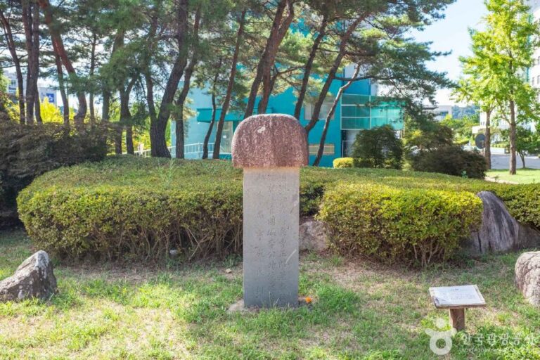 [예스키즈존] 국립경국대학교 박물관