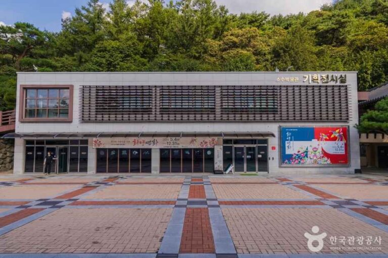 [예스키즈존] 소수박물관