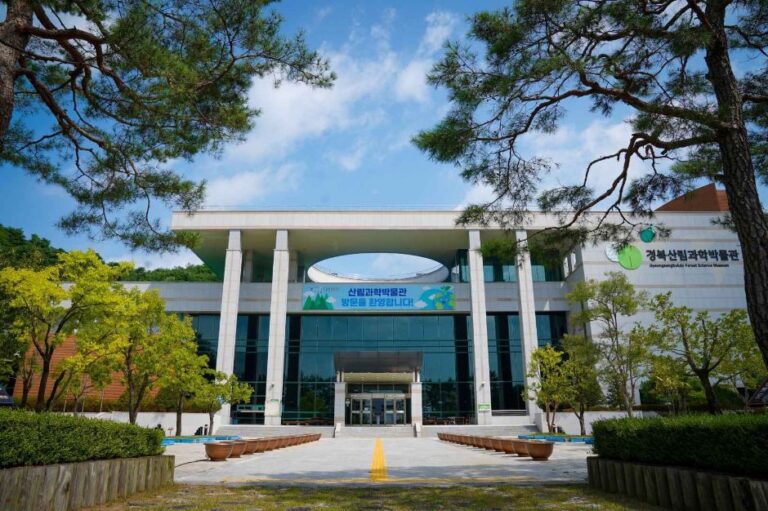 [예스키즈존] 경상북도 산림과학박물관