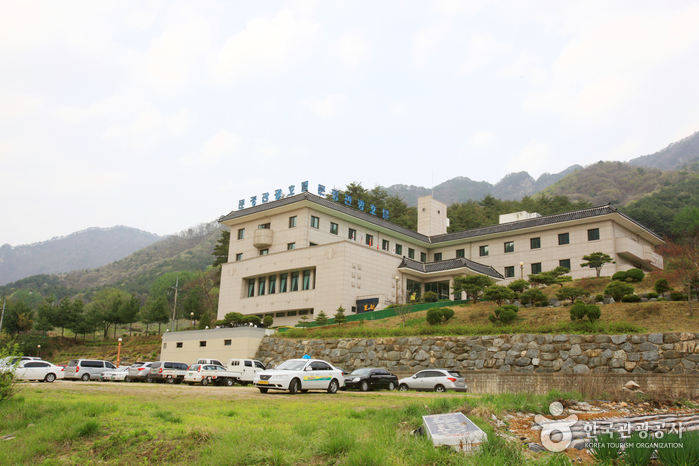 [예스키즈존] 문경관광호텔