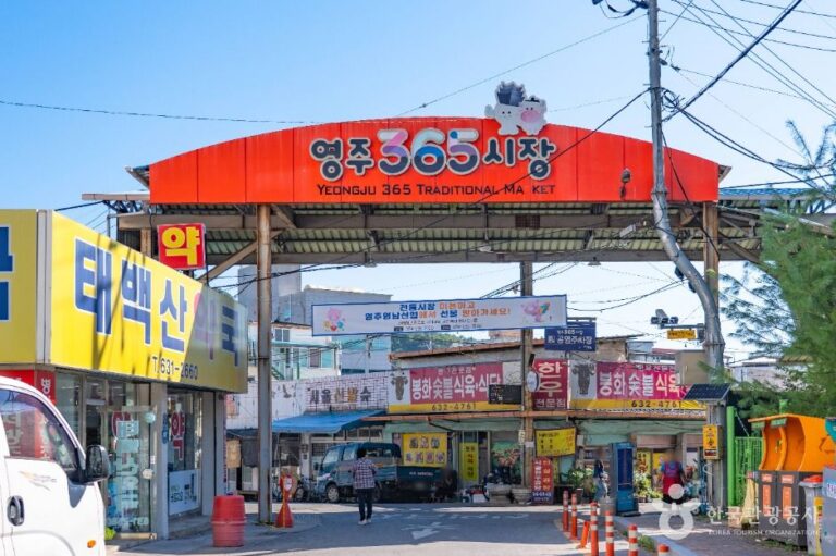 [예스키즈존] 영주 365시장