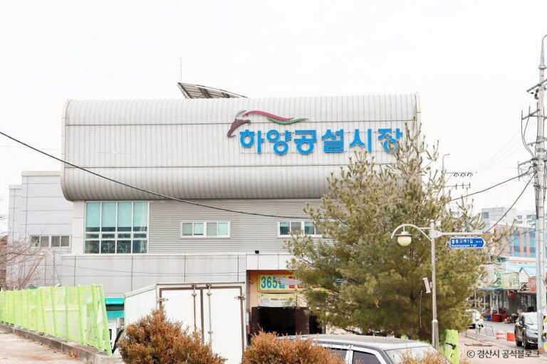 [예스키즈존] 하양꿈바우시장