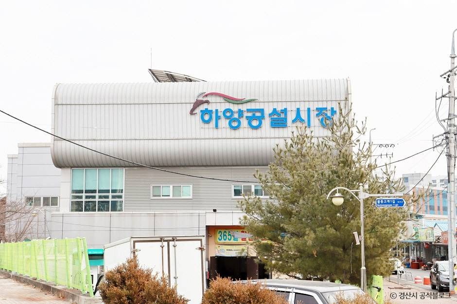 yeskids 1777707488 646 예스키즈존 탐험대 : 실패 없는 육아여행