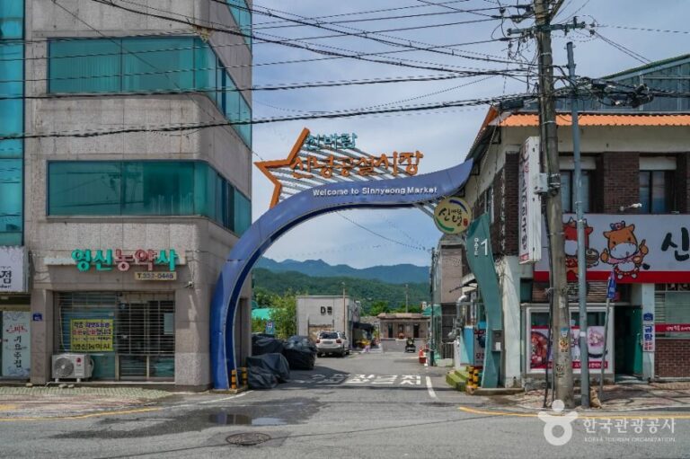 [예스키즈존] 신바람신녕공설시장