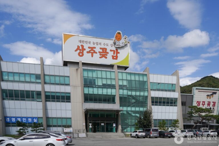 [예스키즈존] 상주곶감유통센터 상주곶감직판장