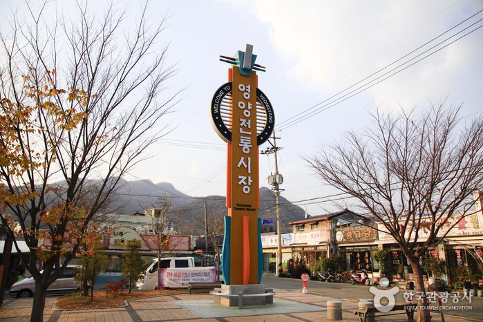 [예스키즈존] 영양시장 (4, 9일)