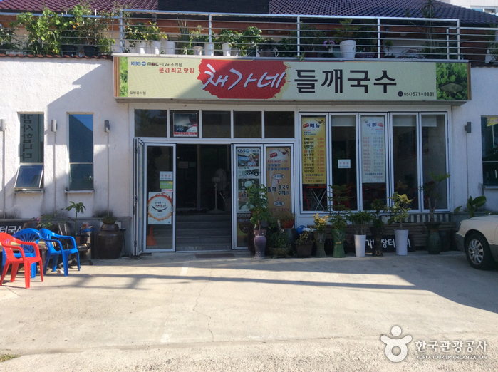 [예스키즈존] 채가네 들깨국수