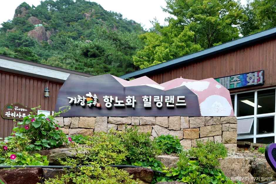yeskids 1777764953 395 예스키즈존 탐험대 : 실패 없는 육아여행