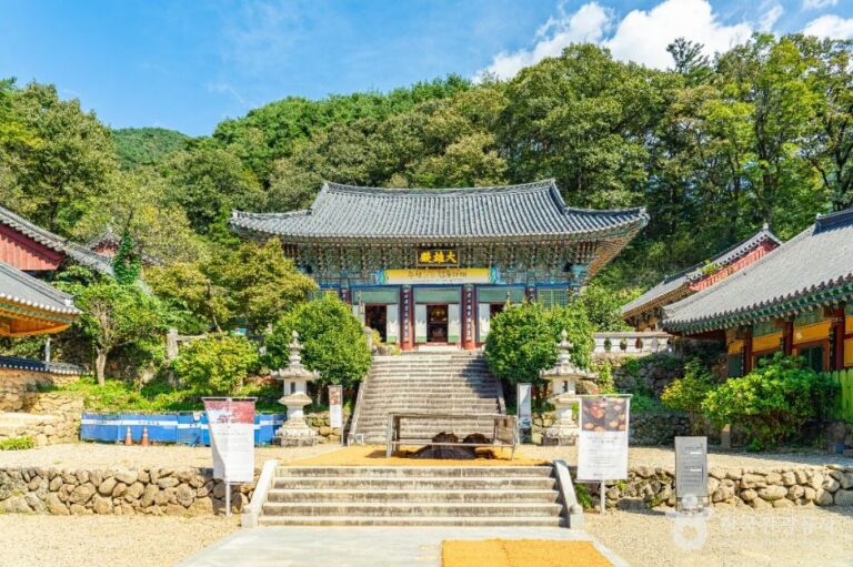 [예스키즈존] 쌍계사(하동)