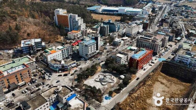 [예스키즈존] 부곡온천 관광특구