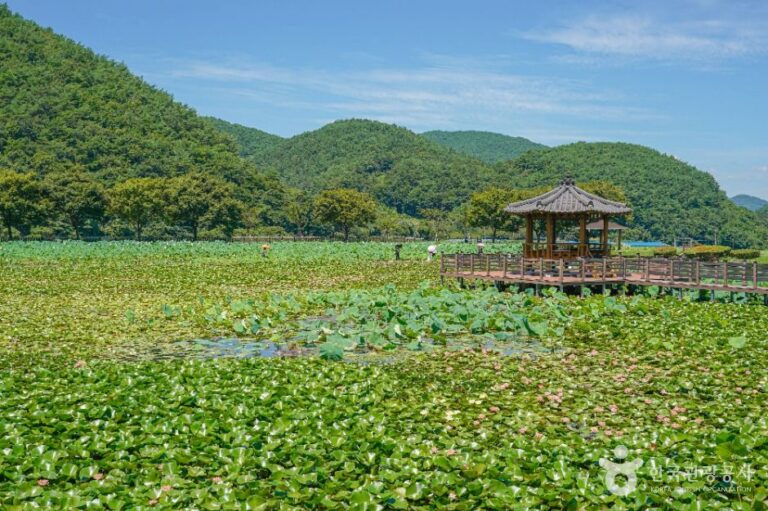 [예스키즈존] 상리연꽃공원