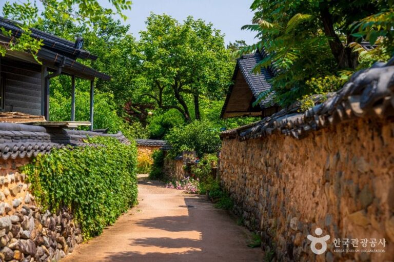 [예스키즈존] 남사예담촌