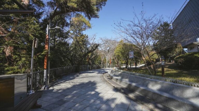 [예스키즈존] 제황산공원