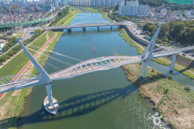 [예스키즈존] 양산천 구름다리
