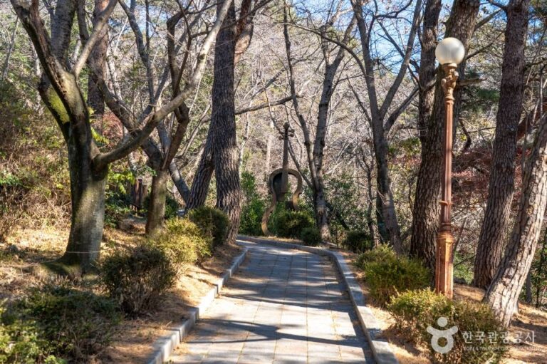 [예스키즈존] 장복산조각공원