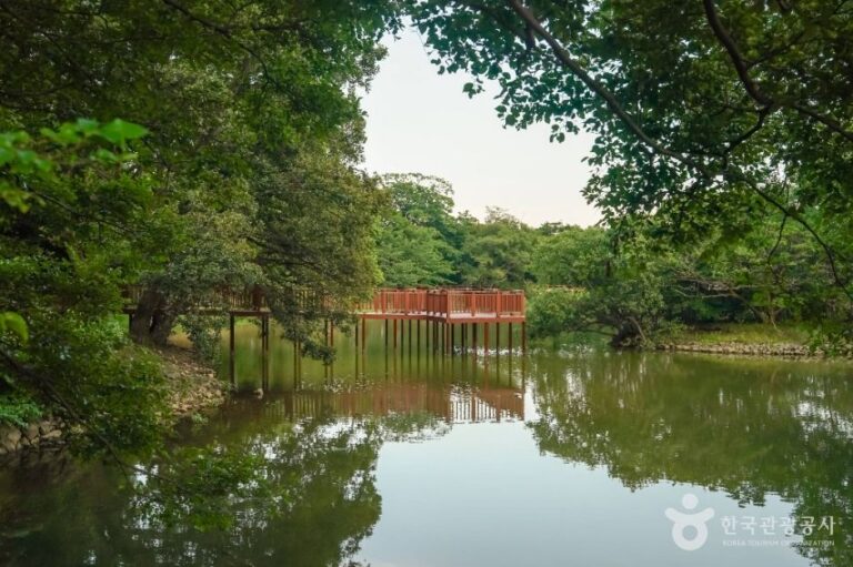 [예스키즈존] 진해내수면 환경생태공원